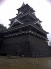 Koi Logic, at the Kumamoto Castle