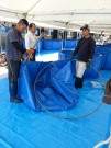 Mr Ogata supervising the set up of the auction vats