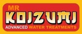 Mr Koizumi