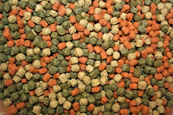 Fish Food