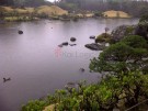 Visiting the Suizenji Jojuen Garden