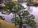 Visiting the Suizenji Jojuen Garden