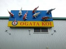 Ogata Koi Farm