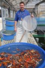 Day 2: Spring Koi selection at Ogata Koi Farm