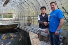 Day 3: Visit to Omotenishiki Koi Farm