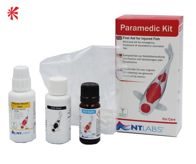 Anti Batterico Interno Pesci NT Labs Nt479 Anti-Internal Bacterial - Medicinale Per Pesci, Confezione Da 100 G Anti Batterico Acquario