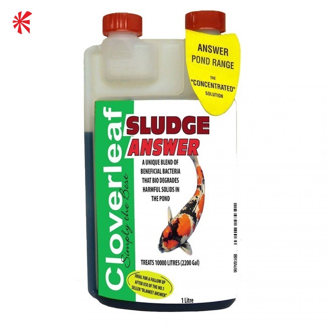 Cloverleaf Sludge Answer Koi Logic