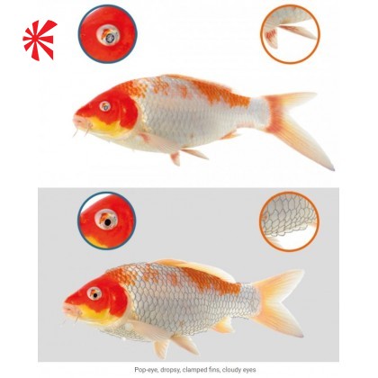NT Labs Koi Care - Chloramine T NT Labs Koi Care - Chloramine T