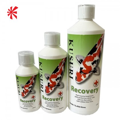 Koi Recovery