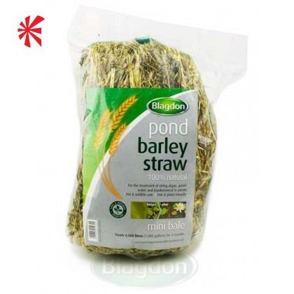 Blagdon Barley Straw Pond Bale Blagdon Barley Straw Pond Bale