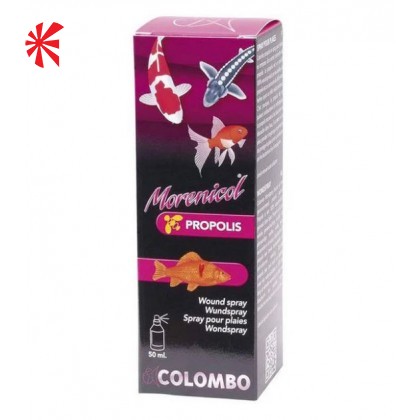 Koi Ulcer & Wound Treatments