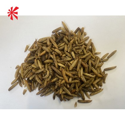 Natural Fish Food Treats