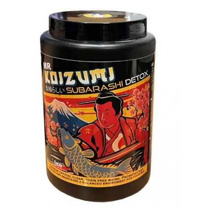 Mr Koizumi Mr Koizumi -