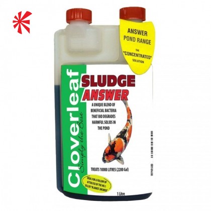 Cloverleaf Cloverleaf Sludge Answer