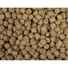 NT Labs - Medikoi Probiotic Growth Food (6mm)