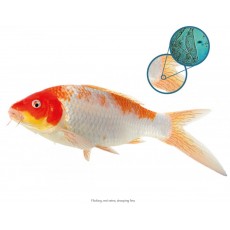 NT Labs Koi Care - Flukasol