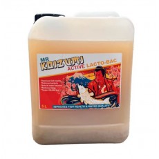Koizumi - Active Lacto Bac
