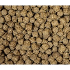 NT Labs - Medikoi Growth Junior (4mm pellet) NT Labs - Medikoi Growth Junior (4mm pellet)