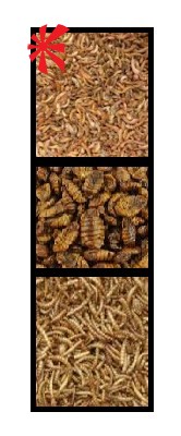 Roto Koi Treats - River Shrimp, Silk Worm, Meal Worm Mix