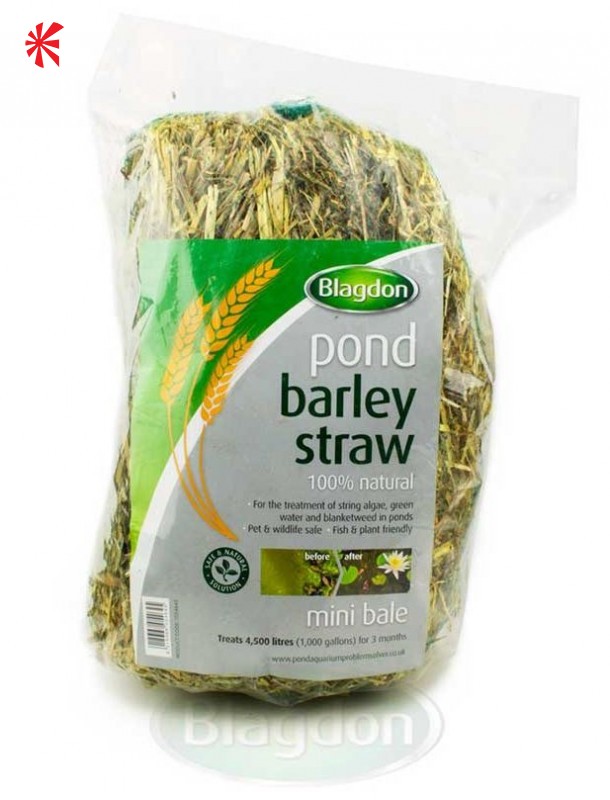 Blagdon Blagdon Barley Straw Pond Bale
