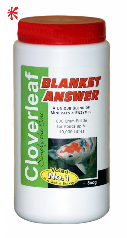 Cloverleaf Cloverleaf Blanket Weed Answer