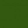 Huttons Gold Label Aqua Pond Paint - Green