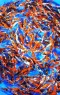 Japanese Premium Koi Direct 6-7"