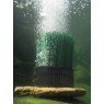 Oase Oase OxyTex CWS Air Diffuser