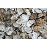 Premium Japanese Oyster Shells With Free Media Sack Premium Japanese Oyster Shells With Free Media Sack