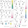 NT Labs NT Labs - Pond Lab 200 Water Test Set